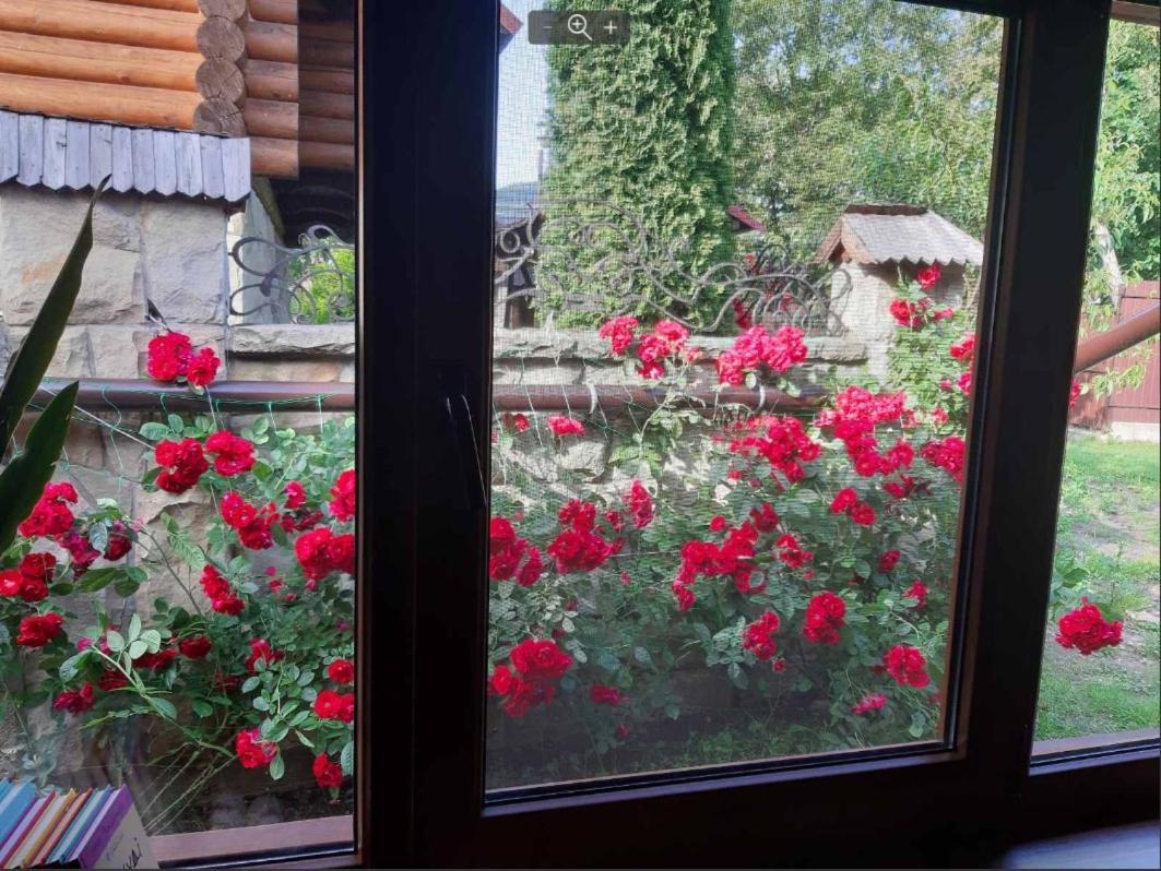 Villa Apple House Mykulytschyn Exterior foto